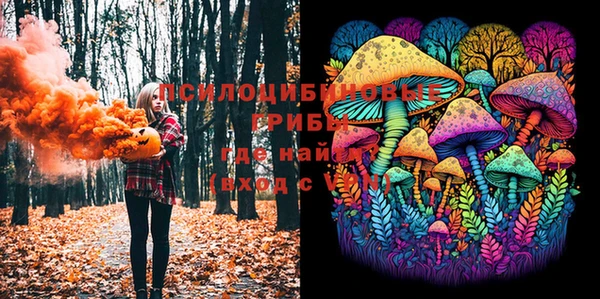 марки lsd Дмитровск