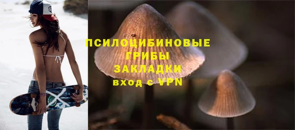 mix Сясьстрой