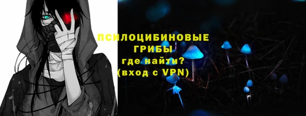 соль ск Дмитров