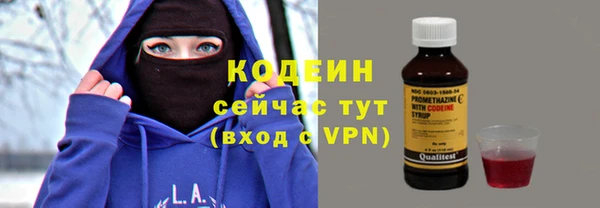 соль ск Дмитров
