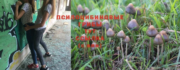марки nbome Дмитриев