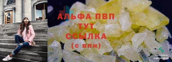 соль ск Дмитров